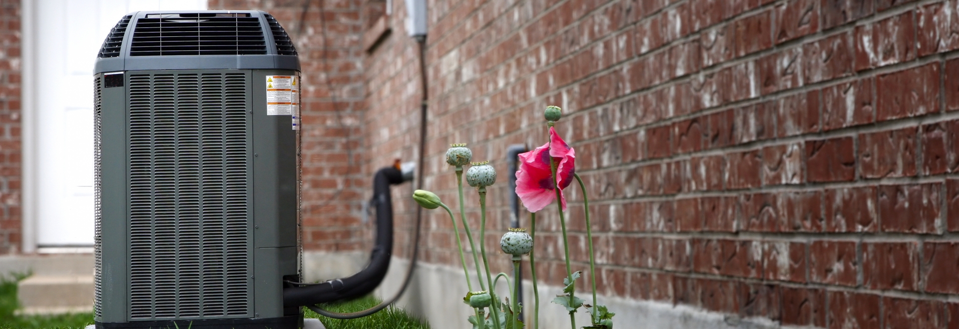 Heat Pump In Back Yard Of Home With a Flower Growing Near It
