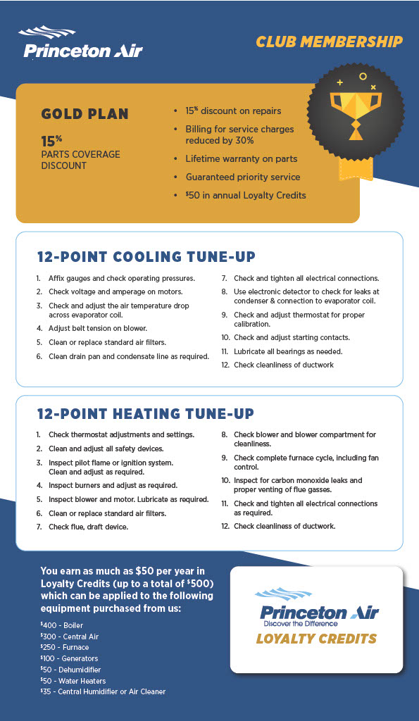 club membership gold plan infographic