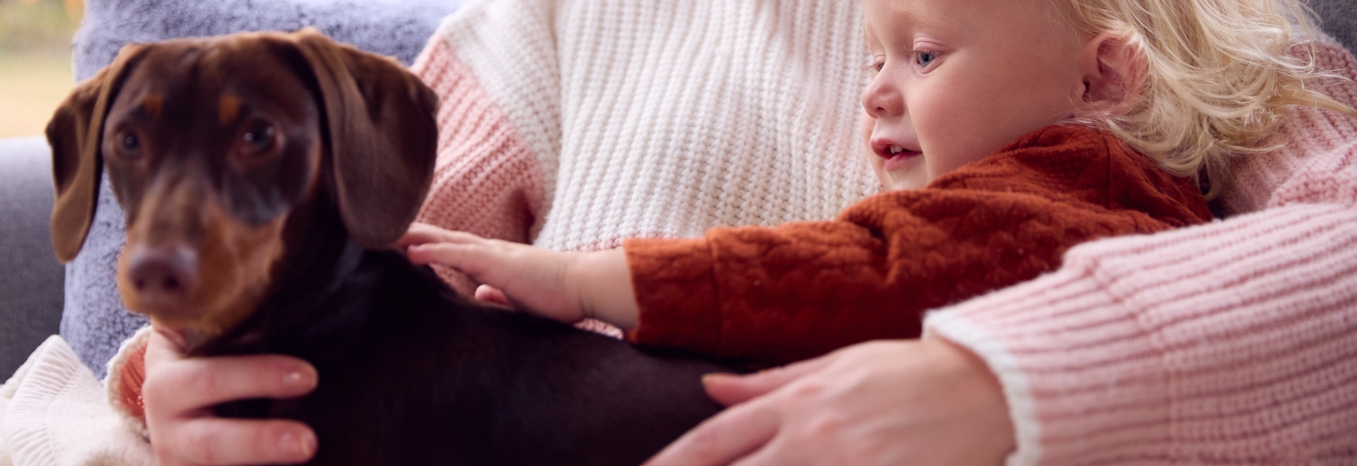 baby and dog together